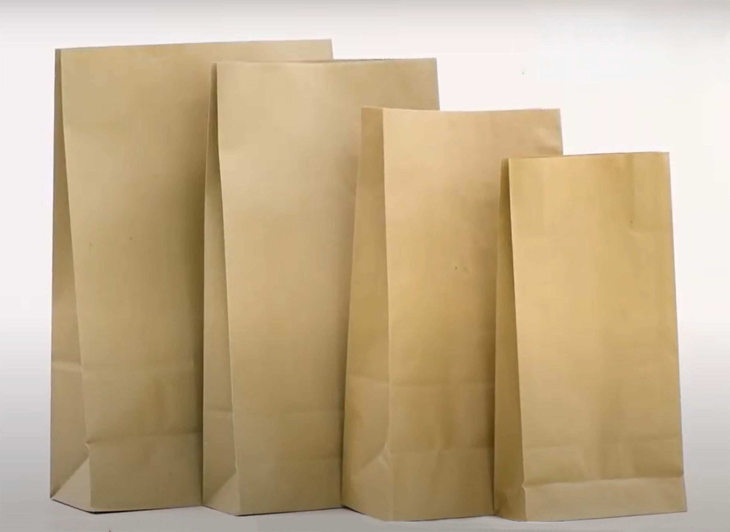 Brown Paper Bags 20 scaled